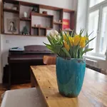 4 Seasons Apartment